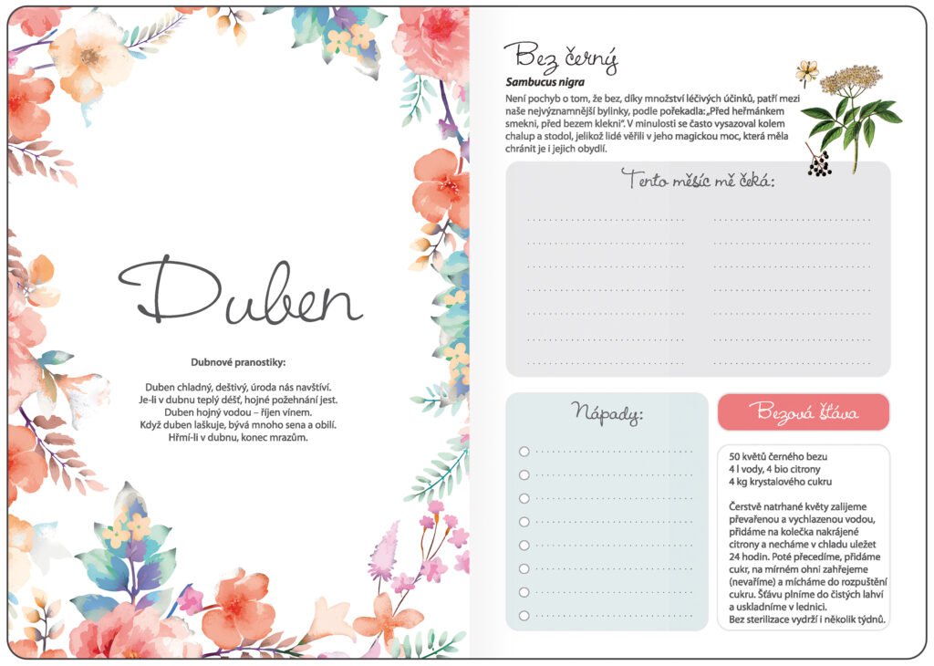 Diáře 2026, plánovací diáře - Týdenní diář B6 Bylinkový Flowers s gumičkou