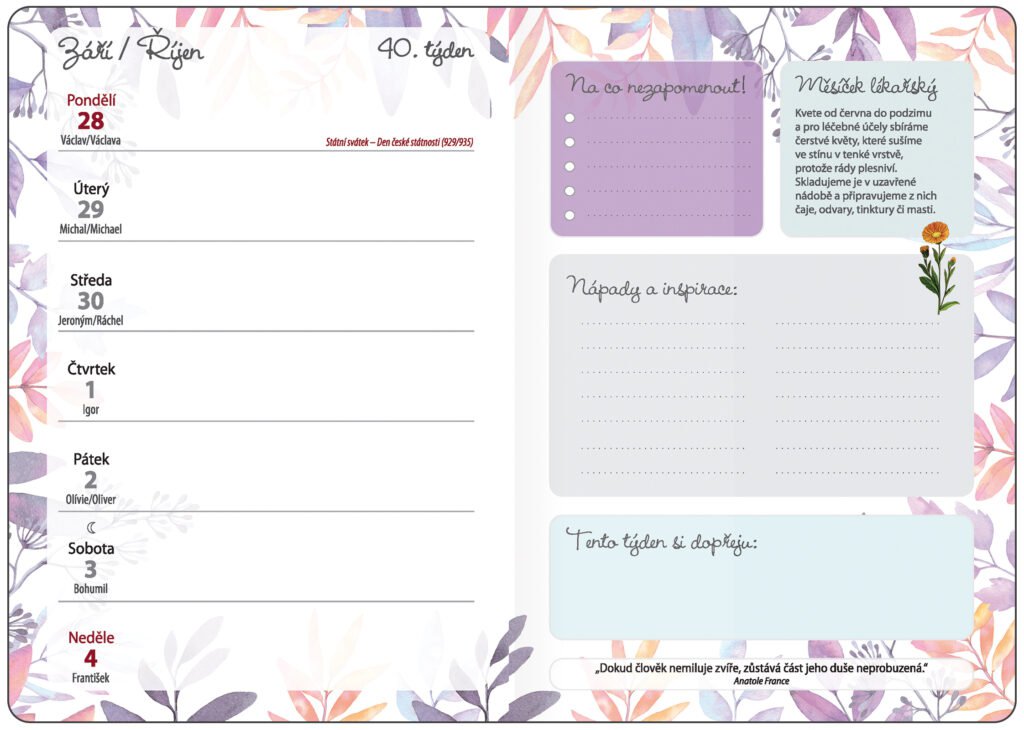 Diáře 2026, plánovací diáře - Týdenní diář B6 Bylinkový Flowers s gumičkou