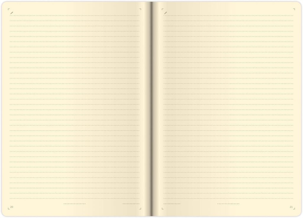 Denníky, nedatované diáre, zápisníky - Zápisník Double Black L linajkový