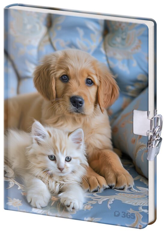 Zápisníky, poznámkové bloky, deníky a notesy - Památník 13x18 cm se zámkem - Friends