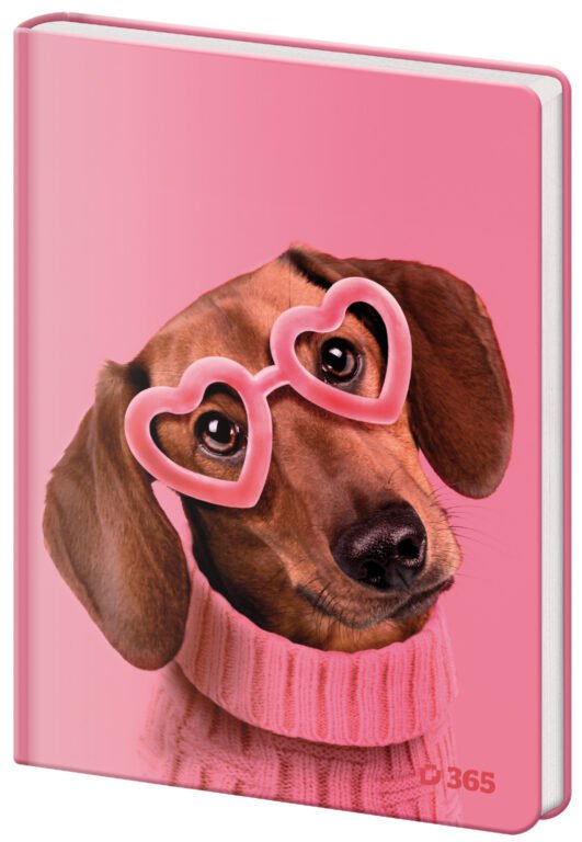 S gumičkou - Pamätník A5 13x18cm čistý Cute