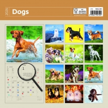 Animals - Calendar Dogs
