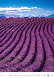 Wall calendars 2026 - Calendar Provence