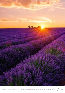 Wall calendars 2026 - Calendar Provence