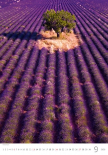 Wall calendars 2026 - Calendar Provence