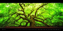 Wall calendars 2026 - Calendar Panoramaphoto