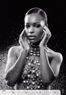 Wall calendars 2026 - Calendar Women Exclusive