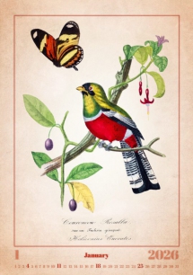 Wall calendars 2026 - Calendar Aviarium