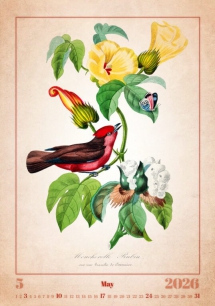 Wall calendars 2026 - Calendar Aviarium