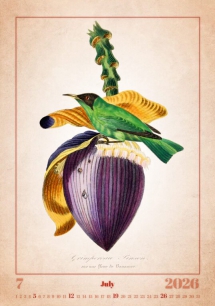 Wall calendars 2026 - Calendar Aviarium