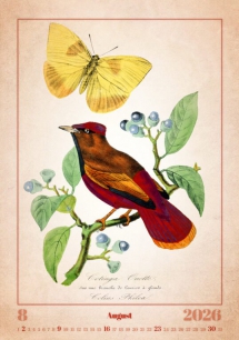Wall calendars 2026 - Calendar Aviarium