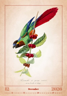 Wall calendars 2026 - Calendar Aviarium