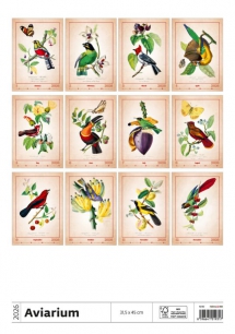 Wall calendars 2026 - Calendar Aviarium