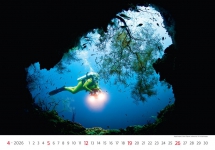 Animals - Calendar Deep Blue