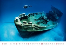 Animals - Calendar Deep Blue