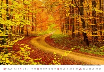 STANDARD - Calendar Via