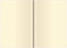 Flexio - Notebook Flexio L dot grid Light Rose
