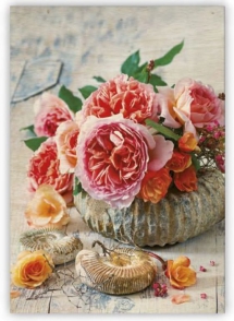 Drevené obrazy - Drevený obraz Shell