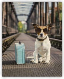 Drevené obrazy - Drevený obraz Dog