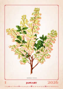 Wall calendars 2026 - Calendar Herbarium
