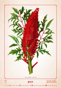 Wall calendars 2026 - Calendar Herbarium