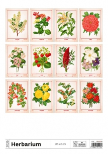 Wall calendars 2026 - Calendar Herbarium