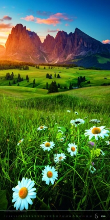 Wall calendars 2026 - Calendar Verticalphoto