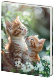 Notebook for Children - Notebook for Children - Tabby