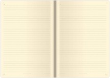 Flexies - Notebook Flexies L lined Black