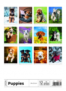 STANDARD - Calendar Puppies