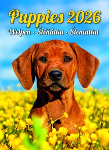 STANDARD - Calendar Puppies