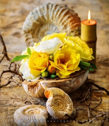 Wall calendars 2026 - Calendar Live Design