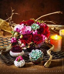 Wall calendars 2026 - Calendar Live Design