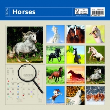 Animals - Calendar Horses