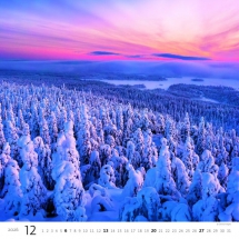 STANDARD - Calendar Forest