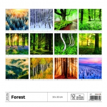 STANDARD - Calendar Forest