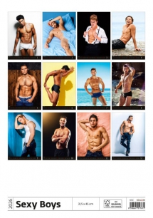Erotic - Calendar Sexy Boys