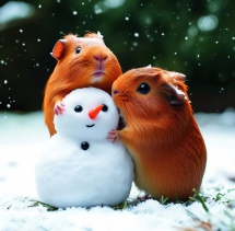 Animals - Calendar Little Fun