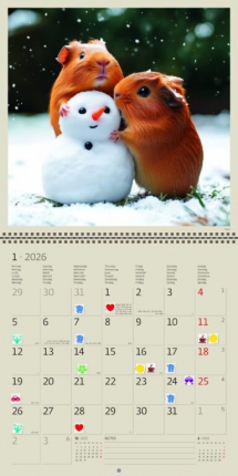 Animals - Calendar Little Fun