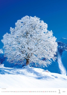 Wall calendars 2026 - Calendar Trees