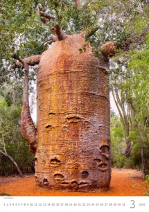 Wall calendars 2026 - Calendar Trees