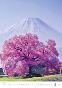 Wall calendars 2026 - Calendar Trees