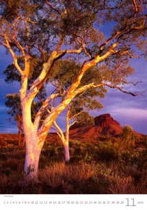 Wall calendars 2026 - Calendar Trees