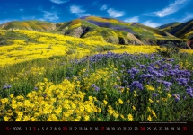 STANDARD - Calendar Landscapes
