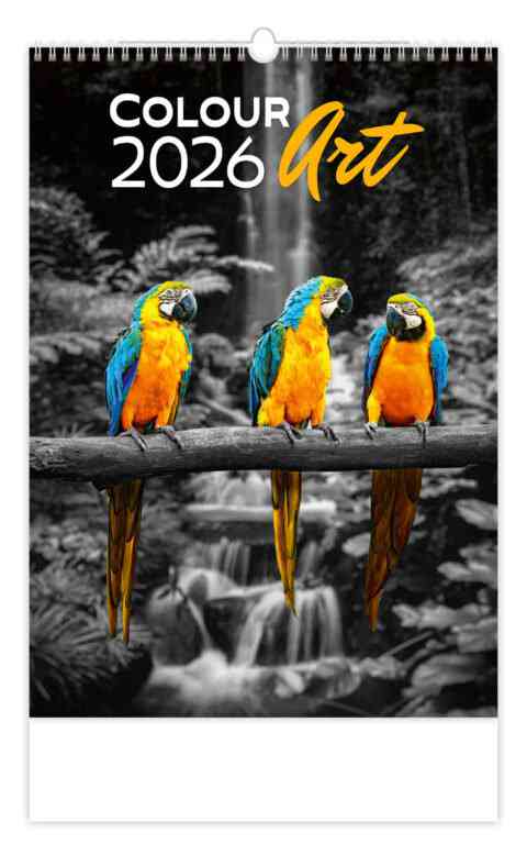 Wall calendars 2026 - Calendar Colour Art