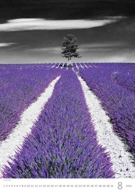 Wall calendars 2026 - Calendar Colour Art