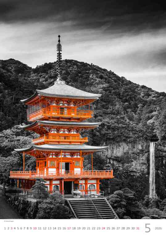 STANDARD - Calendar Colour Art