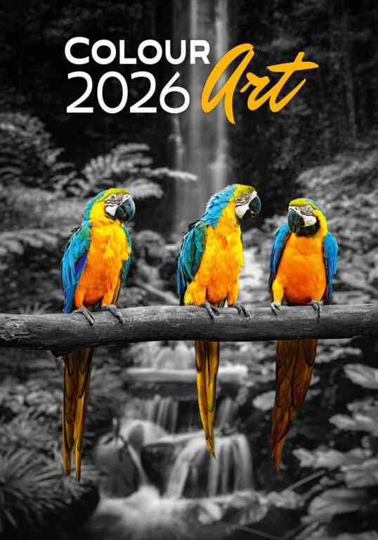 STANDARD - Calendar Colour Art