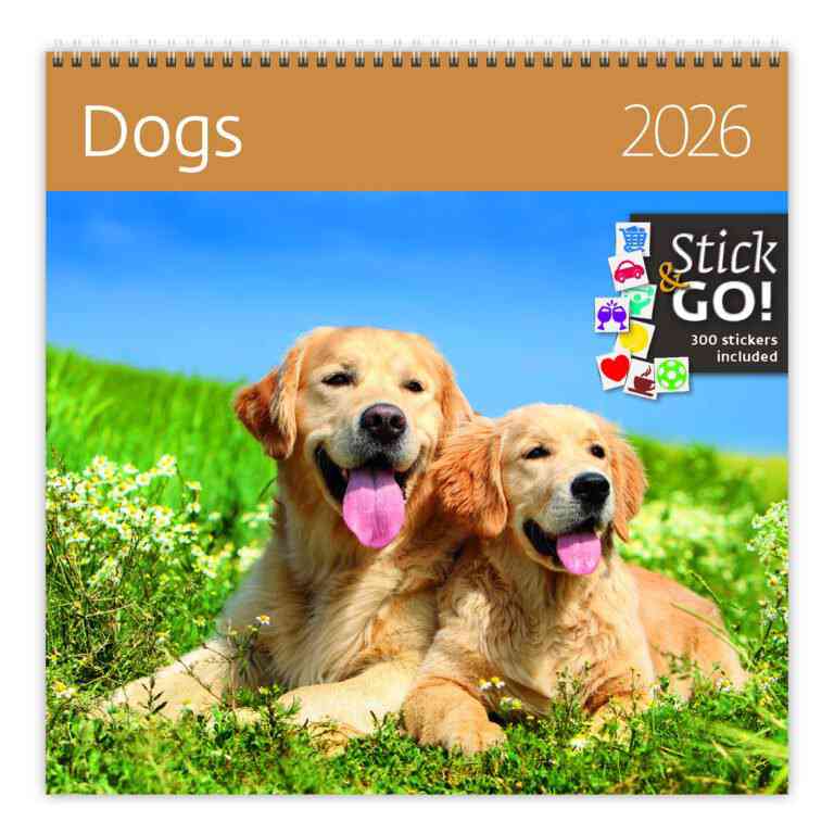 Wall calendars 2026 - Calendar Dogs
