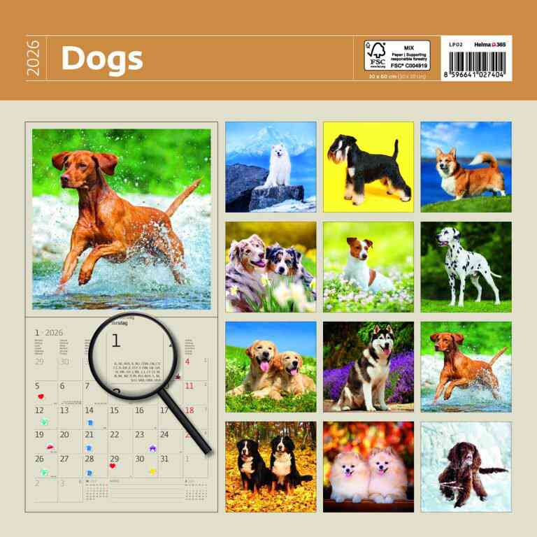 Wall calendars 2026 - Calendar Dogs